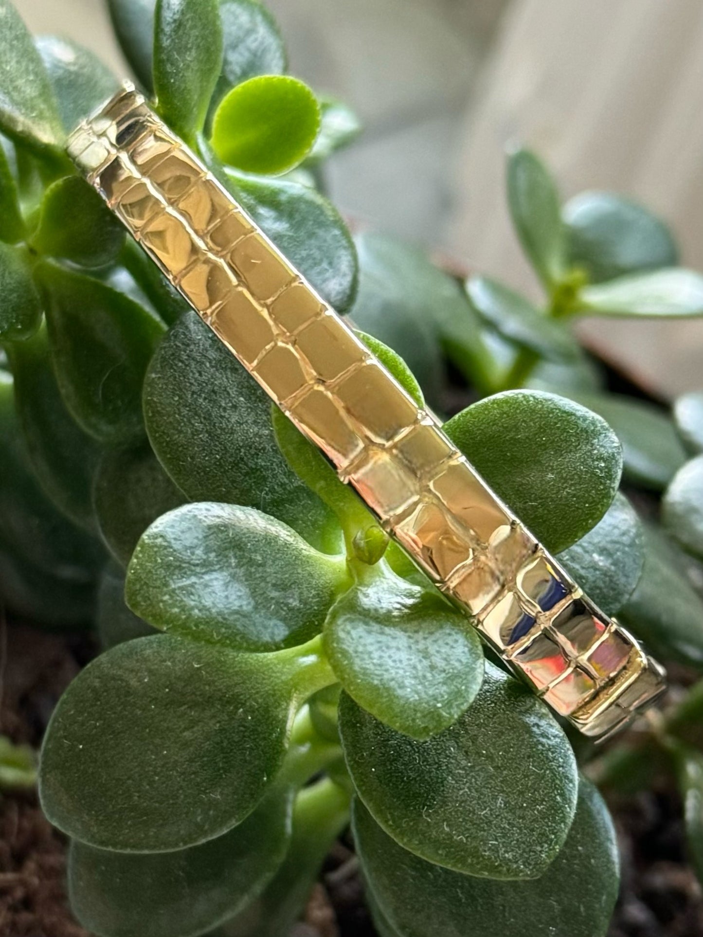 Gator Hinged Oval Bracelet